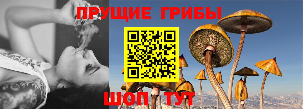 Псилоцибиновые грибы прущие грибы Советский