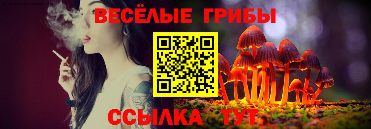 Советский  Псилоцибиновые грибы Cubensis  Вход с VPN 